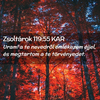 Picture 02 - Zsoltárok 119:55 KAR - Uram! a te nevedrõl emlékezem éjjel, és - Bible Verse Picture