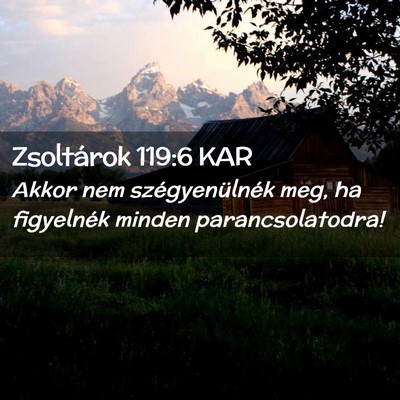 Picture 02 - Zsoltárok 119:6 KAR - Akkor nem szégyenülnék meg, ha figyelnék - Bible Verse Picture