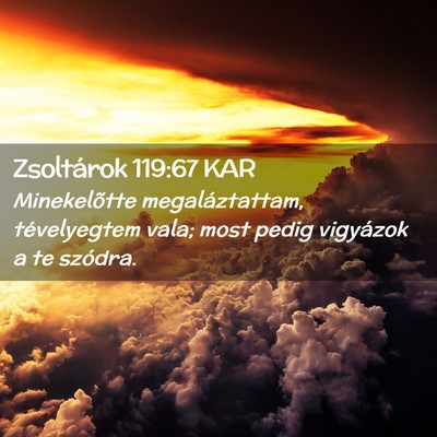 Picture 02 - Zsoltárok 119:67 KAR - Minekelõtte megaláztattam, tévelyegtem vala; - Bible Verse Picture