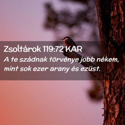 Picture 02 - Zsoltárok 119:72 KAR - A te szádnak törvénye jobb nékem, mint sok - Bible Verse Picture