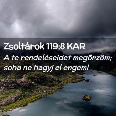 Picture 02 - Zsoltárok 119:8 KAR - A te rendeléseidet megõrzöm; soha ne hagyj el - Bible Verse Picture