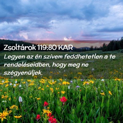 Picture 02 - Zsoltárok 119:80 KAR - Legyen az én szívem feddhetetlen a te - Bible Verse Picture