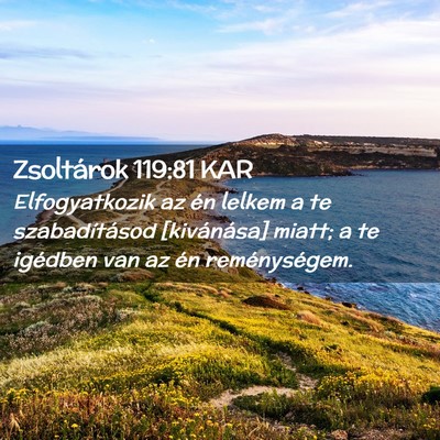 Picture 02 - Zsoltárok 119:81 KAR - Elfogyatkozik az én lelkem a te szabadításod - Bible Verse Picture