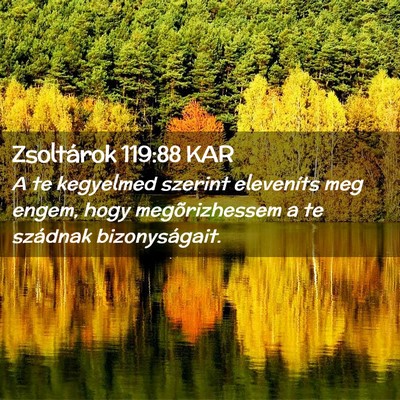 Picture 02 - Zsoltárok 119:88 KAR - A te kegyelmed szerint eleveníts meg engem, hogy - Bible Verse Picture