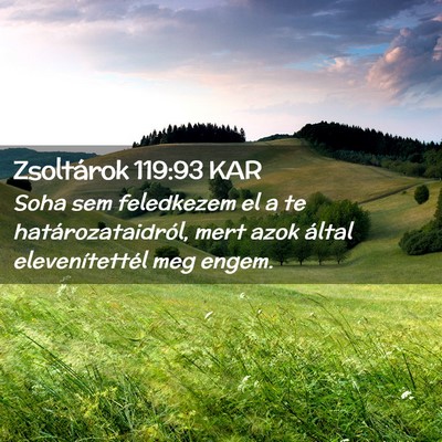 Picture 02 - Zsoltárok 119:93 KAR - Soha sem feledkezem el a te határozataidról, - Bible Verse Picture