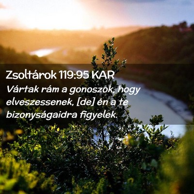 Picture 02 - Zsoltárok 119:95 KAR - Vártak rám a gonoszok, hogy elveszessenek, [de] - Bible Verse Picture