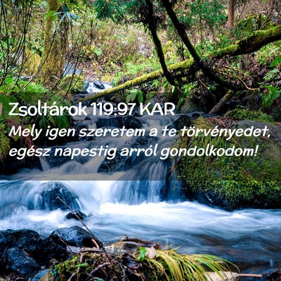 Picture 02 - Zsoltárok 119:97 KAR - Mely igen szeretem a te törvényedet, egész - Bible Verse Picture
