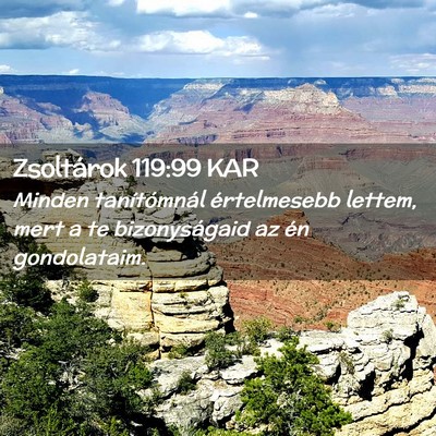 Picture 02 - Zsoltárok 119:99 KAR - Minden tanítómnál értelmesebb lettem, mert a - Bible Verse Picture