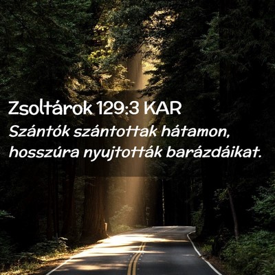 Picture 02 - Zsoltárok 129:3 KAR - Szántók szántottak hátamon, hosszúra - Bible Verse Picture