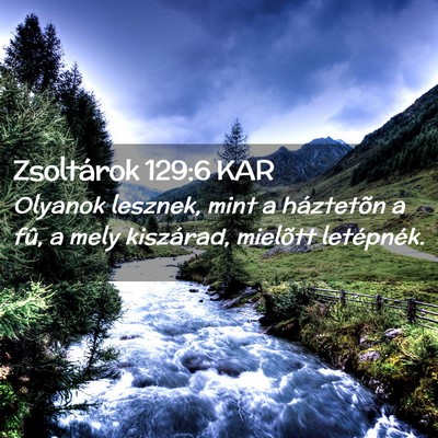 Picture 02 - Zsoltárok 129:6 KAR - Olyanok lesznek, mint a háztetõn a fû, a mely - Bible Verse Picture