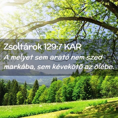 Picture 02 - Zsoltárok 129:7 KAR - A melyet sem arató nem szed markába, sem - Bible Verse Picture