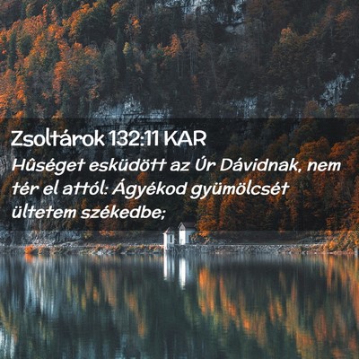 Picture 02 - Zsoltárok 132:11 KAR - Hûséget esküdött az Úr Dávidnak, nem tér - Bible Verse Picture