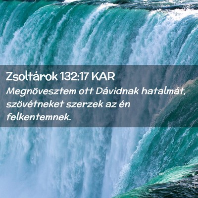 Picture 02 - Zsoltárok 132:17 KAR - Megnövesztem ott Dávidnak hatalmát, - Bible Verse Picture