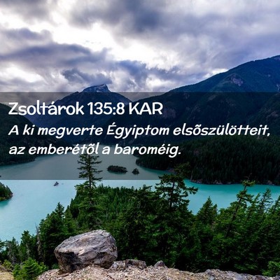 Picture 02 - Zsoltárok 135:8 KAR - A ki megverte Égyiptom elsõszülötteit, az - Bible Verse Picture