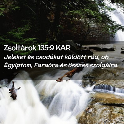 Picture 02 - Zsoltárok 135:9 KAR - Jeleket és csodákat küldött rád, oh - Bible Verse Picture