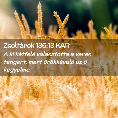 Picture 02 - Zsoltárok 136:13 KAR - A ki kétfelé választotta a veres tengert; mert - Bible Verse Picture