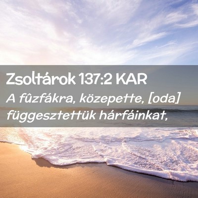 Picture 02 - Zsoltárok 137:2 KAR - A fûzfákra, közepette, [oda] függesztettük - Bible Verse Picture