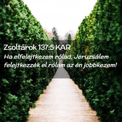 Picture 02 - Zsoltárok 137:5 KAR - Ha elfelejtkezem rólad, Jeruzsálem - Bible Verse Picture