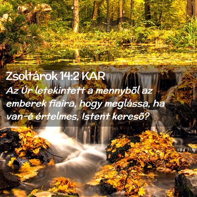 Picture 02 - Zsoltárok 14:2 KAR - Az Úr letekintett a mennybõl az emberek fiaira, - Bible Verse Picture