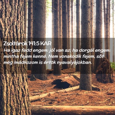 Picture 02 - Zsoltárok 141:5 KAR - Ha igaz fedd engem: jól van az; ha dorgál - Bible Verse Picture