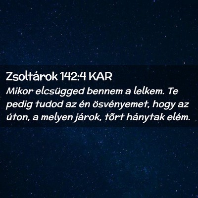 Picture 02 - Zsoltárok 142:4 KAR - Mikor elcsügged bennem a lelkem. Te pedig tudod - Bible Verse Picture