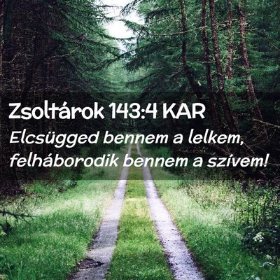Picture 02 - Zsoltárok 143:4 KAR - Elcsügged bennem a lelkem, felháborodik bennem - Bible Verse Picture