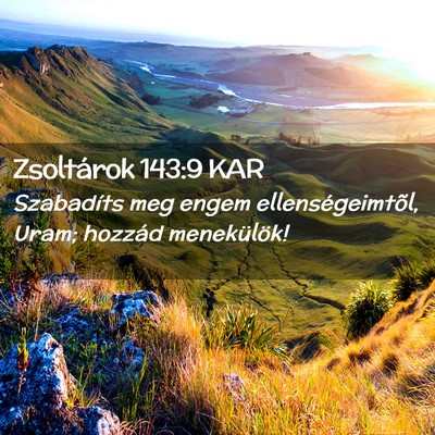 Picture 02 - Zsoltárok 143:9 KAR - Szabadíts meg engem ellenségeimtõl, Uram; - Bible Verse Picture