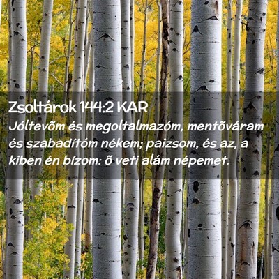 Picture 02 - Zsoltárok 144:2 KAR - Jóltevõm és megoltalmazóm, mentõváram és - Bible Verse Picture