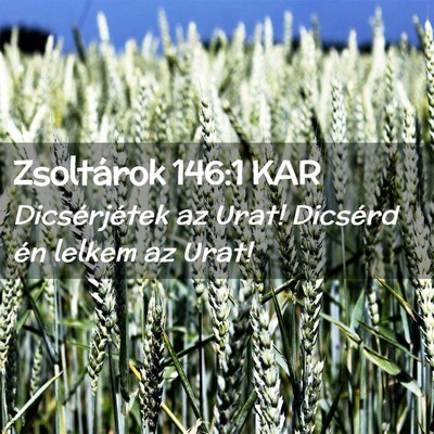 Picture 02 - Zsoltárok 146:1 KAR - Dicsérjétek az Urat! Dicsérd én lelkem az - Bible Verse Picture
