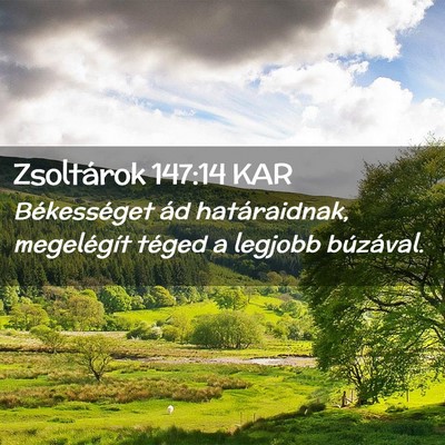 Picture 02 - Zsoltárok 147:14 KAR - Békességet ád határaidnak, megelégít téged - Bible Verse Picture