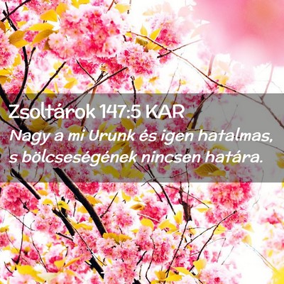 Picture 02 - Zsoltárok 147:5 KAR - Nagy a mi Urunk és igen hatalmas, s - Bible Verse Picture