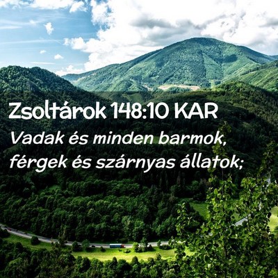 Picture 02 - Zsoltárok 148:10 KAR - Vadak és minden barmok, férgek és szárnyas - Bible Verse Picture