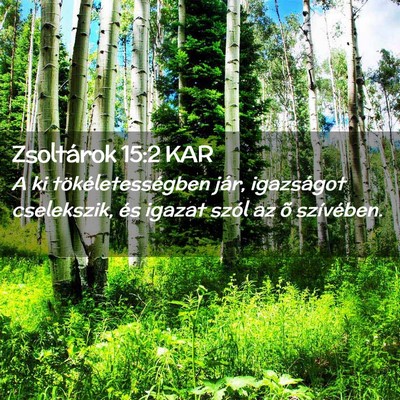 Picture 02 - Zsoltárok 15:2 KAR - A ki tökéletességben jár, igazságot - Bible Verse Picture
