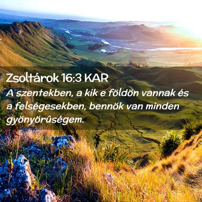 Picture 02 - Zsoltárok 16:3 KAR - A szentekben, a kik e földön vannak és a - Bible Verse Picture