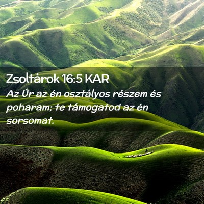 Picture 02 - Zsoltárok 16:5 KAR - Az Úr az én osztályos részem és poharam; te - Bible Verse Picture