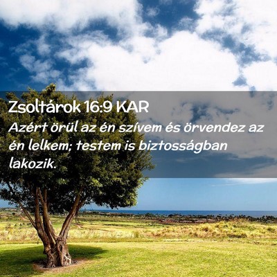 Picture 02 - Zsoltárok 16:9 KAR - Azért örül az én szívem és örvendez az én - Bible Verse Picture