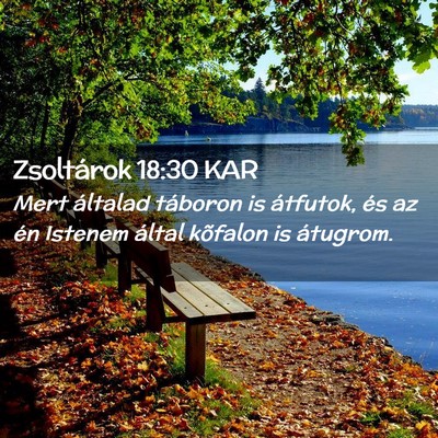 Picture 02 - Zsoltárok 18:30 KAR - Mert általad táboron is átfutok, és az én - Bible Verse Picture