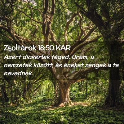 Picture 02 - Zsoltárok 18:50 KAR - Azért dicsérlek téged, Uram, a nemzetek - Bible Verse Picture