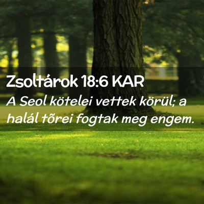 Picture 02 - Zsoltárok 18:6 KAR - A Seol kötelei vettek körül; a halál tõrei - Bible Verse Picture