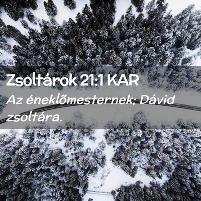 Picture 02 - Zsoltárok 21:1 KAR - Az éneklõmesternek; Dávid - Bible Verse Picture