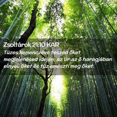 Picture 02 - Zsoltárok 21:10 KAR - Tüzes kemenczévé teszed õket megjelenésed - Bible Verse Picture