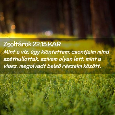 Picture 02 - Zsoltárok 22:15 KAR - Mint a víz, úgy kiöntettem; csontjaim mind - Bible Verse Picture