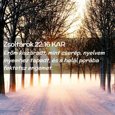 Picture 02 - Zsoltárok 22:16 KAR - Erõm kiszáradt, mint cserép, nyelvem ínyemhez - Bible Verse Picture