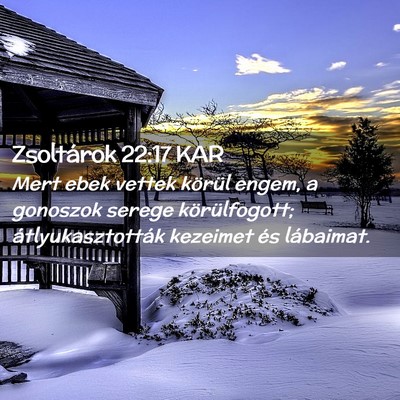 Picture 02 - Zsoltárok 22:17 KAR - Mert ebek vettek körül engem, a gonoszok serege - Bible Verse Picture