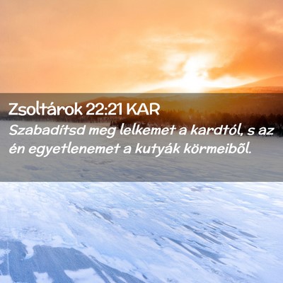 Picture 02 - Zsoltárok 22:21 KAR - Szabadítsd meg lelkemet a kardtól, s az én - Bible Verse Picture