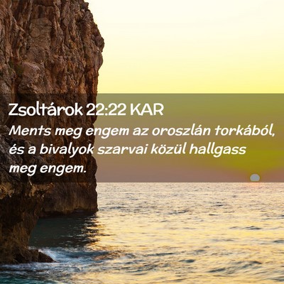 Picture 02 - Zsoltárok 22:22 KAR - Ments meg engem az oroszlán torkából, és a - Bible Verse Picture