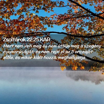 Picture 02 - Zsoltárok 22:25 KAR - Mert nem veti meg és nem útálja meg a szegény - Bible Verse Picture