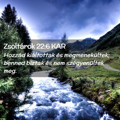 Picture 02 - Zsoltárok 22:6 KAR - Hozzád kiáltottak és megmenekültek; benned - Bible Verse Picture