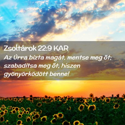 Picture 02 - Zsoltárok 22:9 KAR - Az Úrra bízta magát, mentse meg õt; - Bible Verse Picture