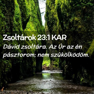 Picture 02 - Zsoltárok 23:1 KAR - Dávid zsoltára. Az Úr az én pásztorom; nem - Bible Verse Picture